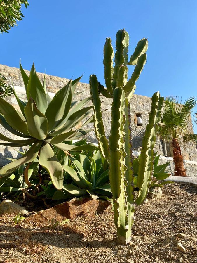 Sensus Mykonos Apartment Kalafatis Exterior foto